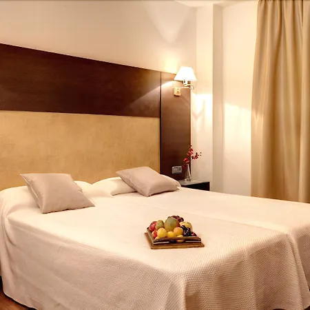 Hotel Madrid Torrejon Plaza-2
